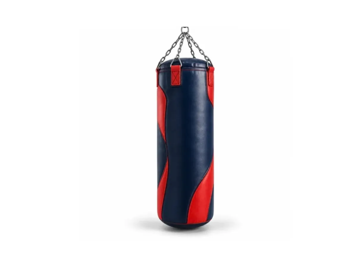 punching bag 1