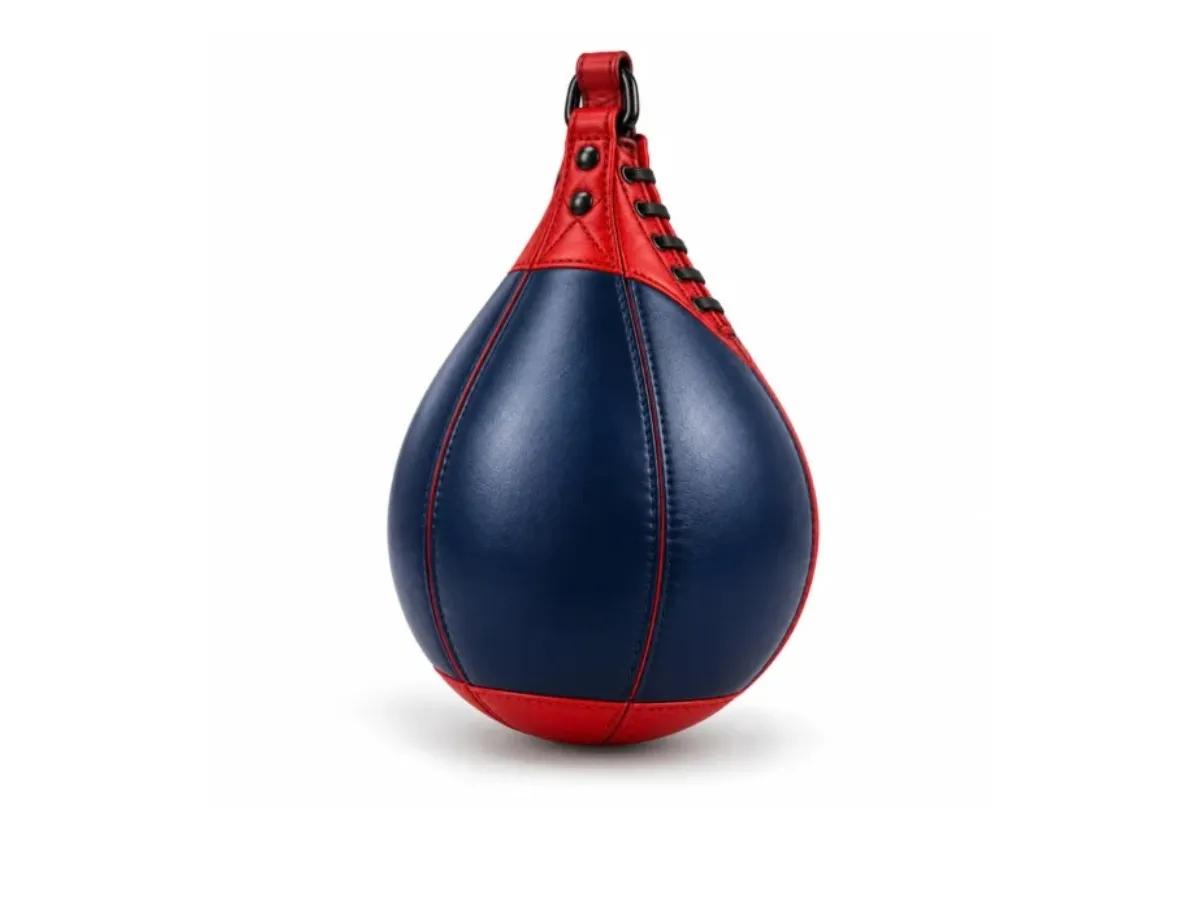 speed bag 1